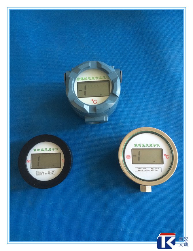 無(wú)源數(shù)顯溫度傳感器、無(wú)需外接電源、鋰電池供電