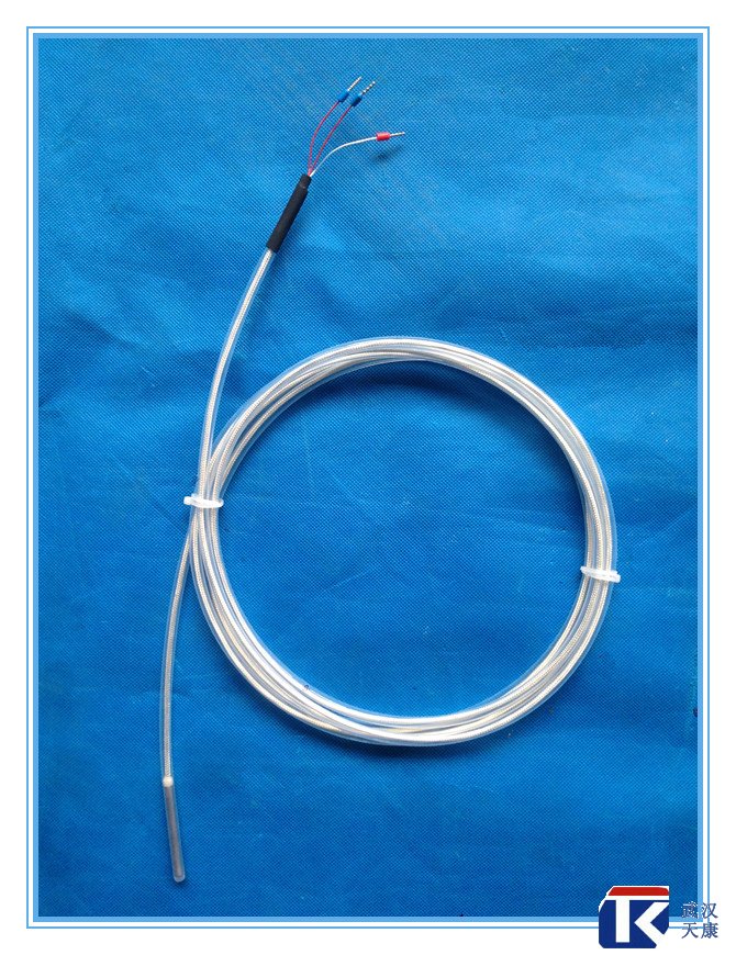 補(bǔ)償導(dǎo)線式防腐熱電阻/pt100防腐熱電阻