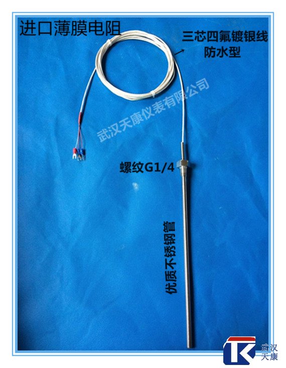 補(bǔ)償導(dǎo)線式熱電阻/WZP-291/pt100熱電阻