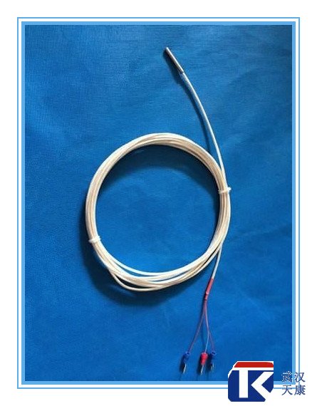 補(bǔ)償導(dǎo)線式熱電阻/WZPT-104、025/pt100熱電阻